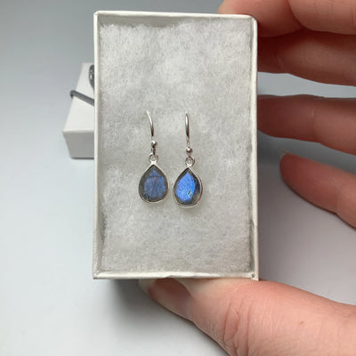 Labradorite Dangle Earrings