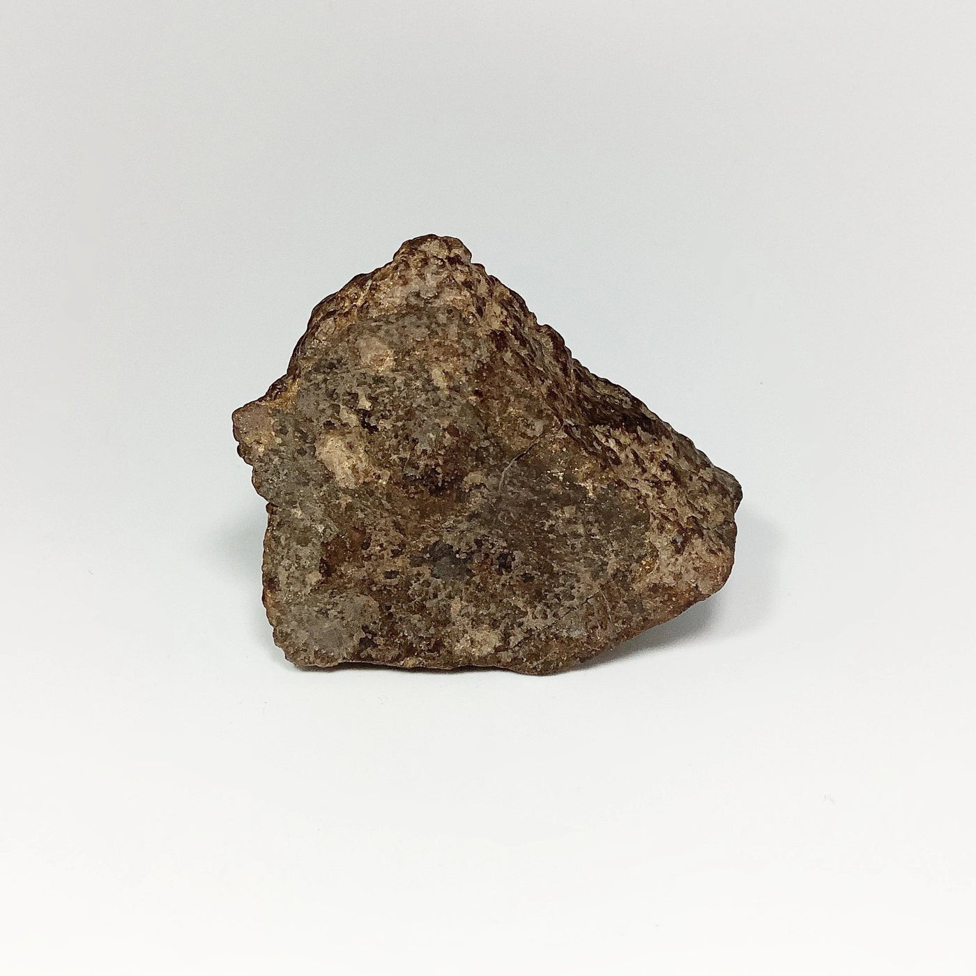 NWA Chondrite Meteorite
