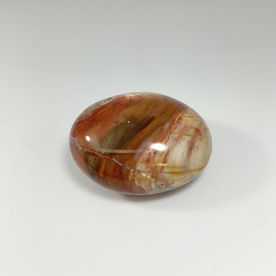 Petrified Wood Tumble - Rocks and Gems Canada