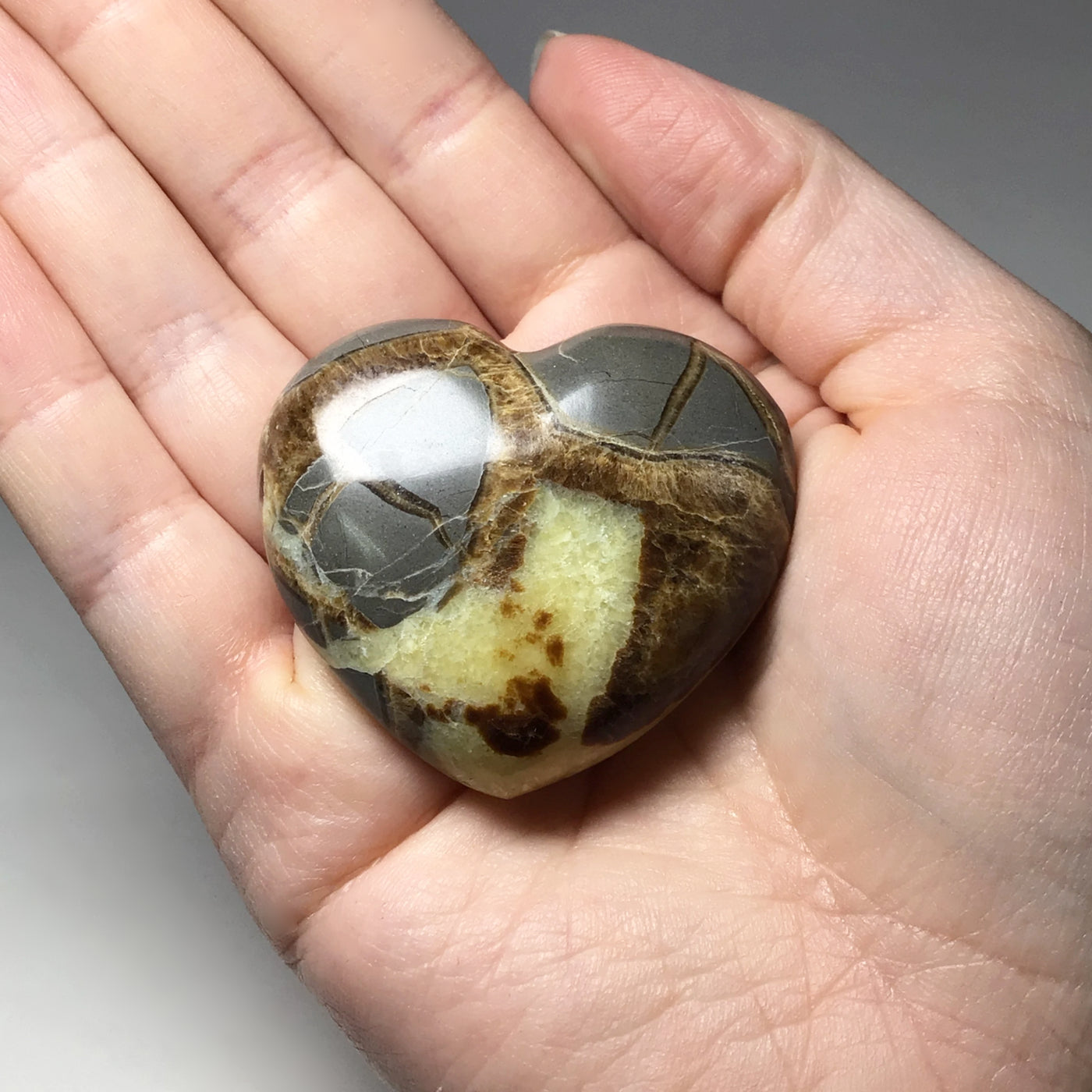 Septarian Heart at $65