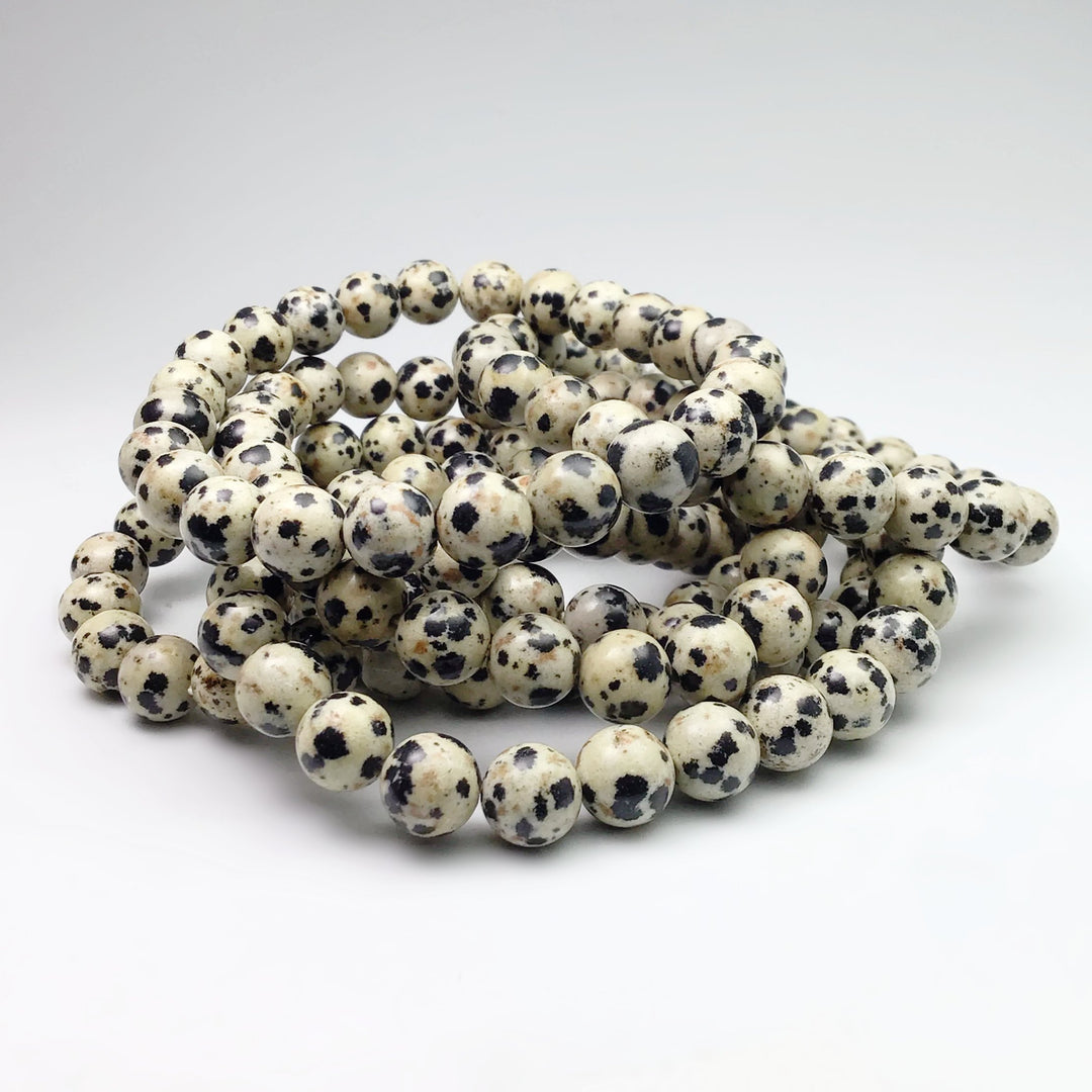 Dalmatian Jasper Beaded Bracelet - Rocks and Gems Canada