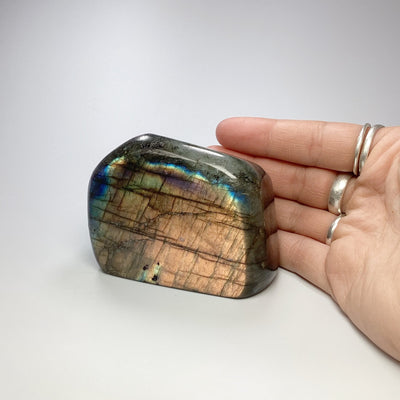 Labradorite Stand Up