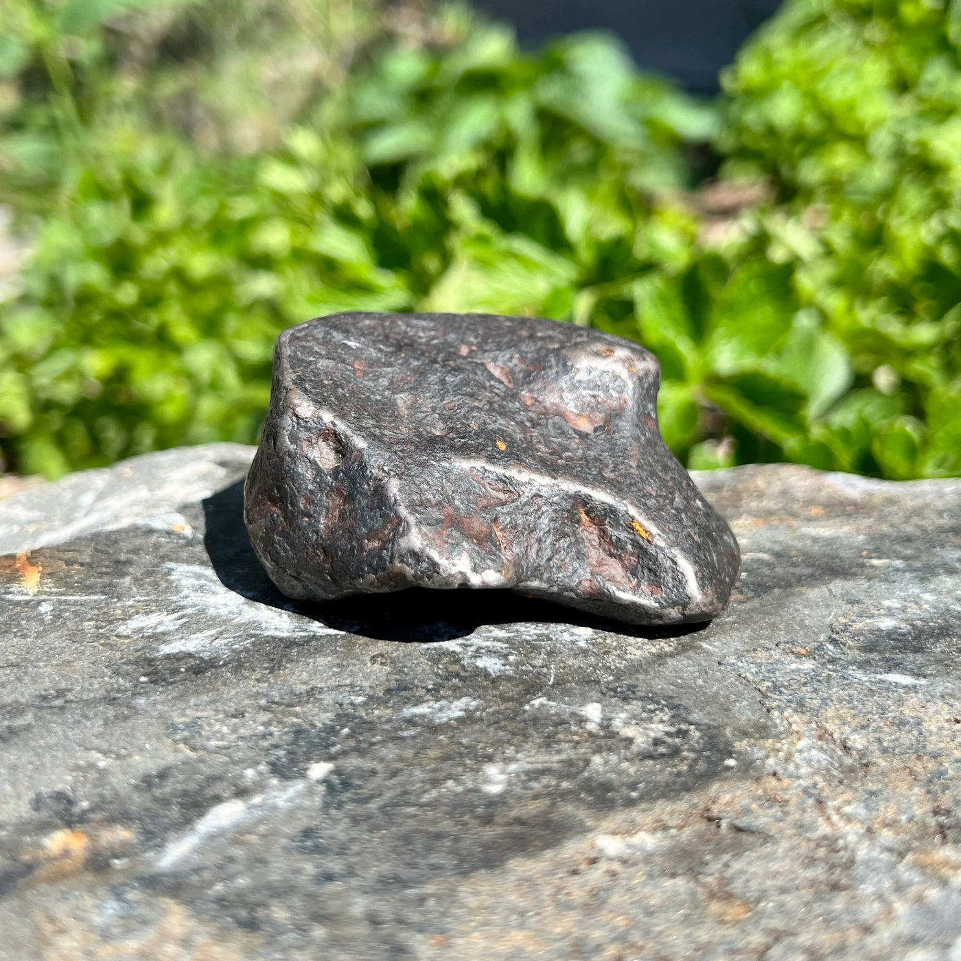 Campo Del Cielo Meteorite Large Specimen