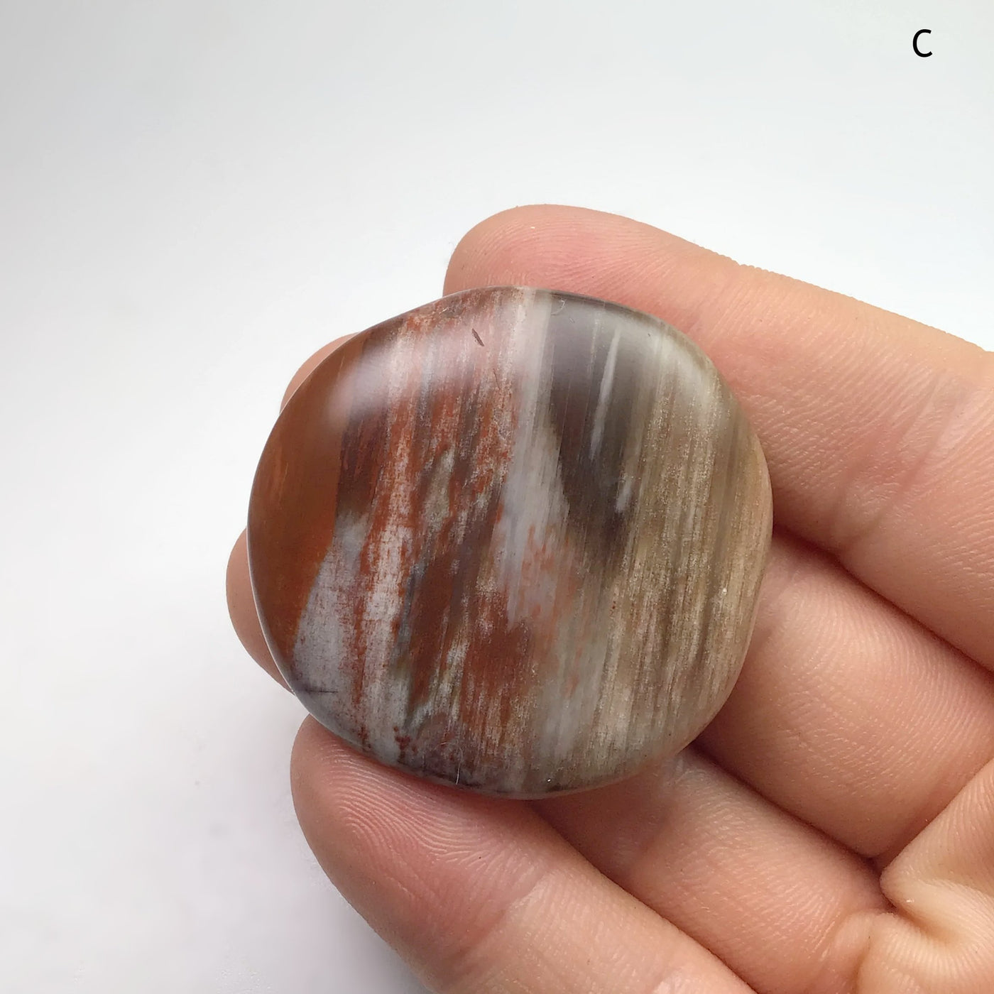 Petrified Wood Touch Stone at $35 Each