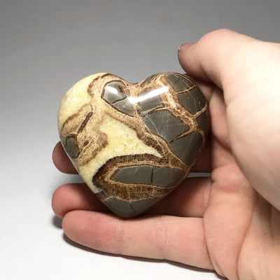 Septarian Heart