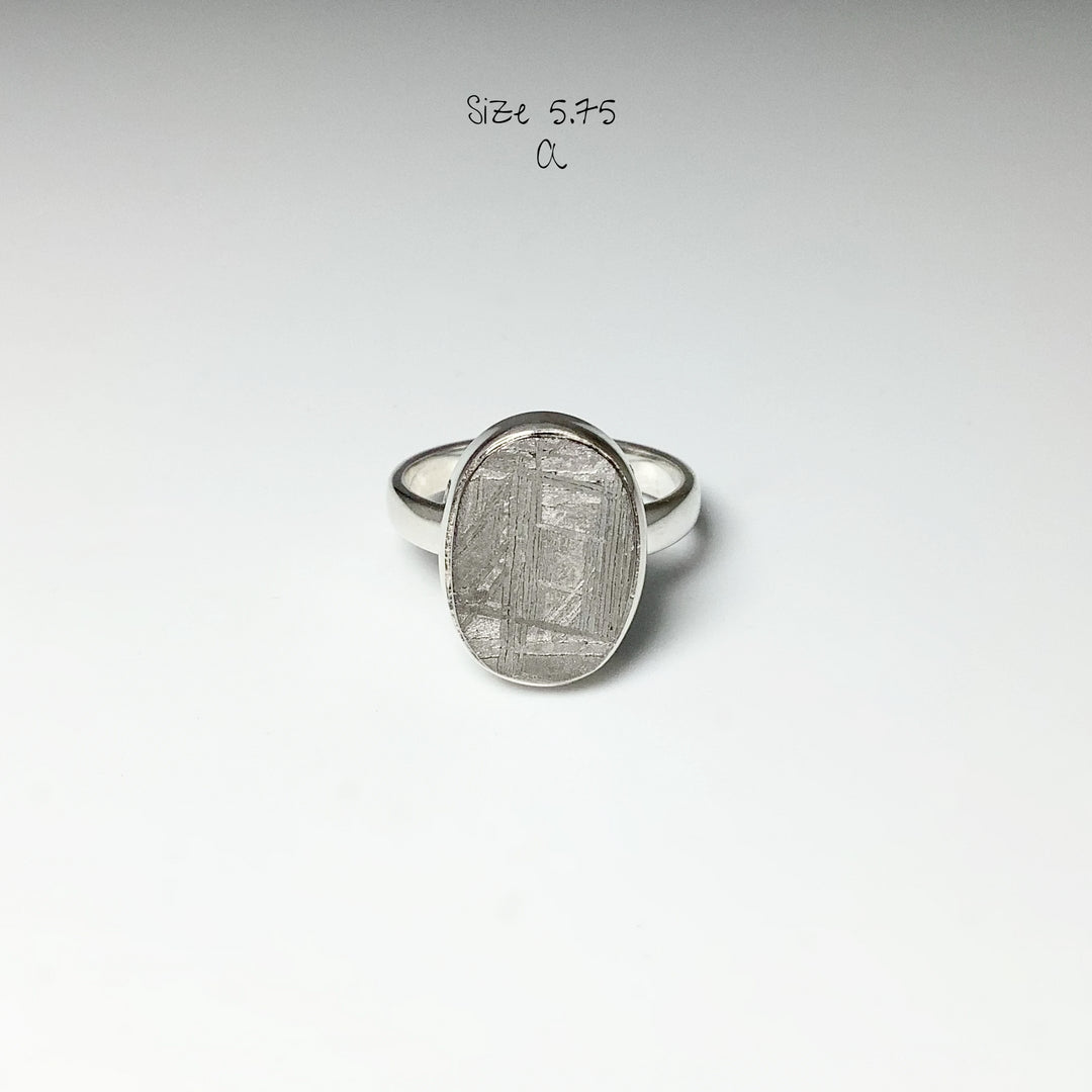 Muonionalusta Meteorite Ring - Rocks and Gems Canada