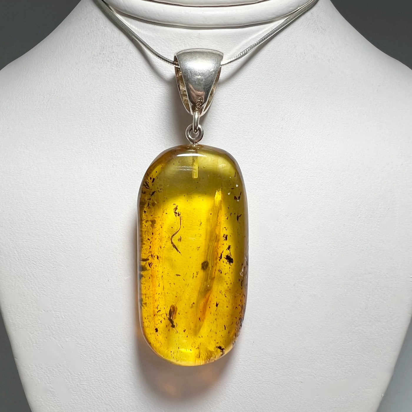 Amber Pendant with Preserved Insect Inclusion