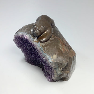 Amethyst Bear Carving