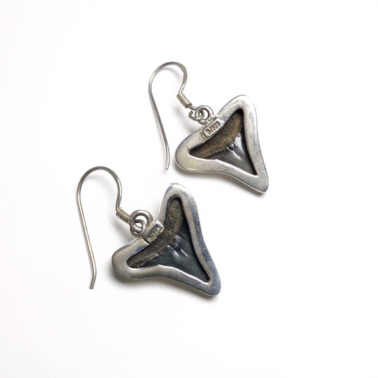 Fossilized Shark Teeth Dangle Earrings - Rocks and Gems Canada