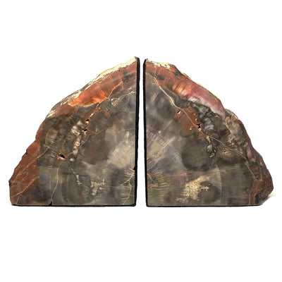 Araucaria Petrified Wood Bookends