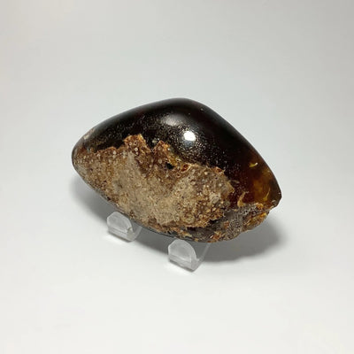 Blue Amber Specimen