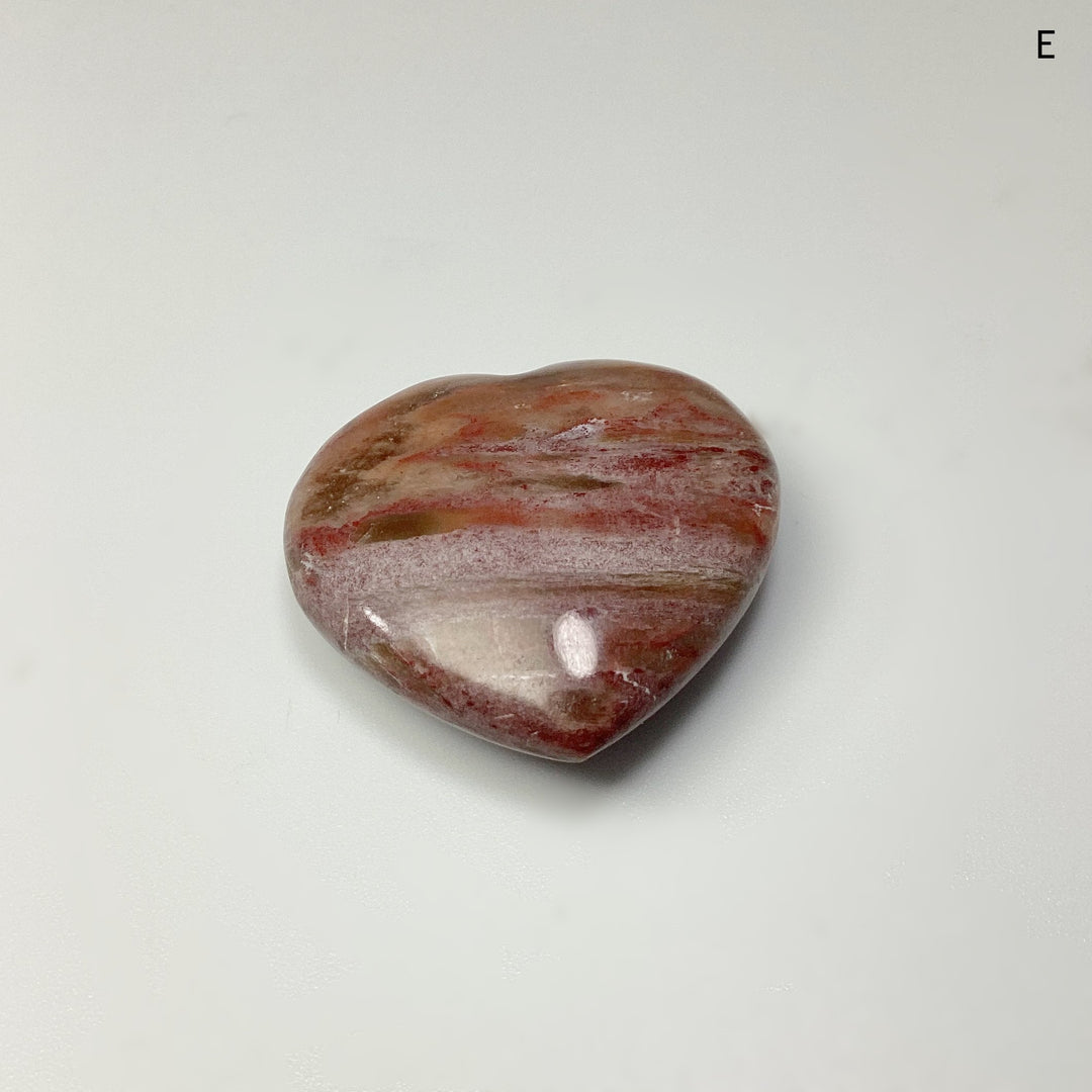Petrified Wood Heart - Rocks and Gems Canada