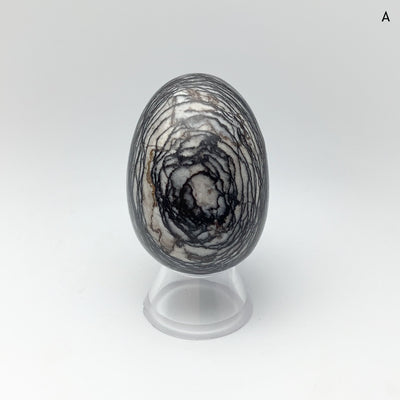 Web Jasper Egg