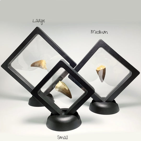 Plastic Display Box - Rocks and Gems Canada