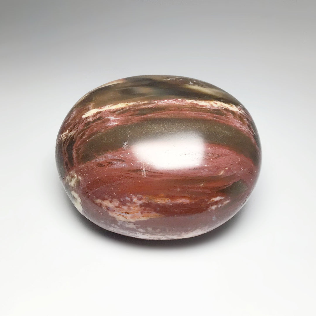 Petrified Wood Tumble - Rocks and Gems Canada
