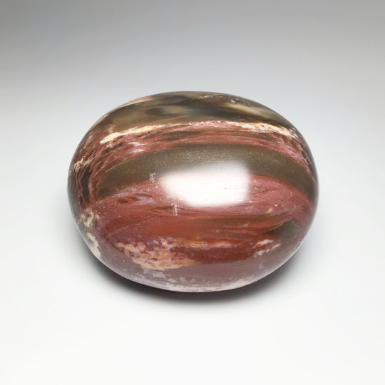 Petrified Wood Tumble - Rocks and Gems Canada