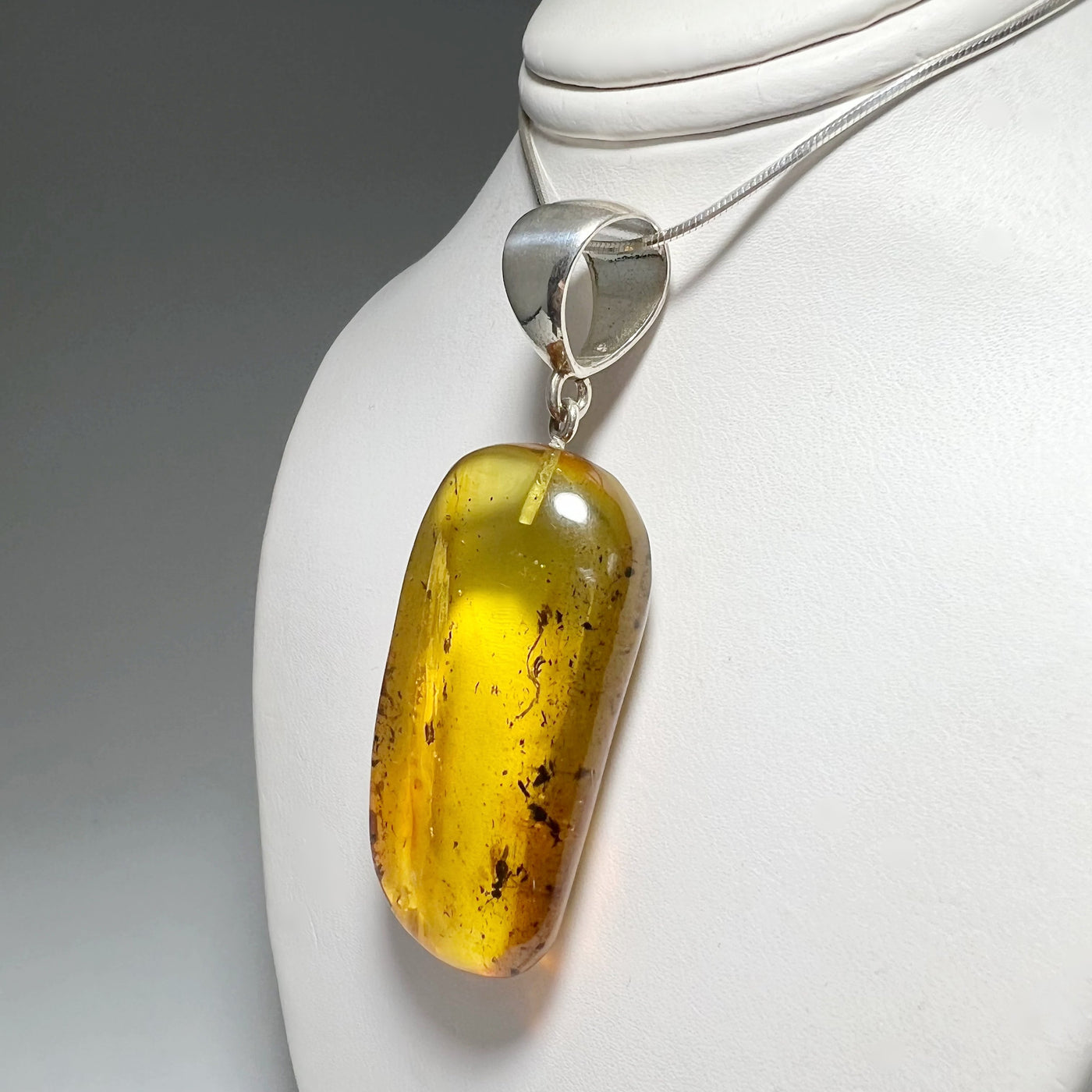 Amber Pendant with Preserved Insect Inclusion