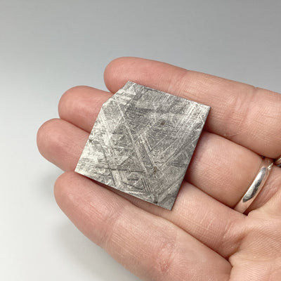Muonionalusta Meteorite Slice at $115 Each