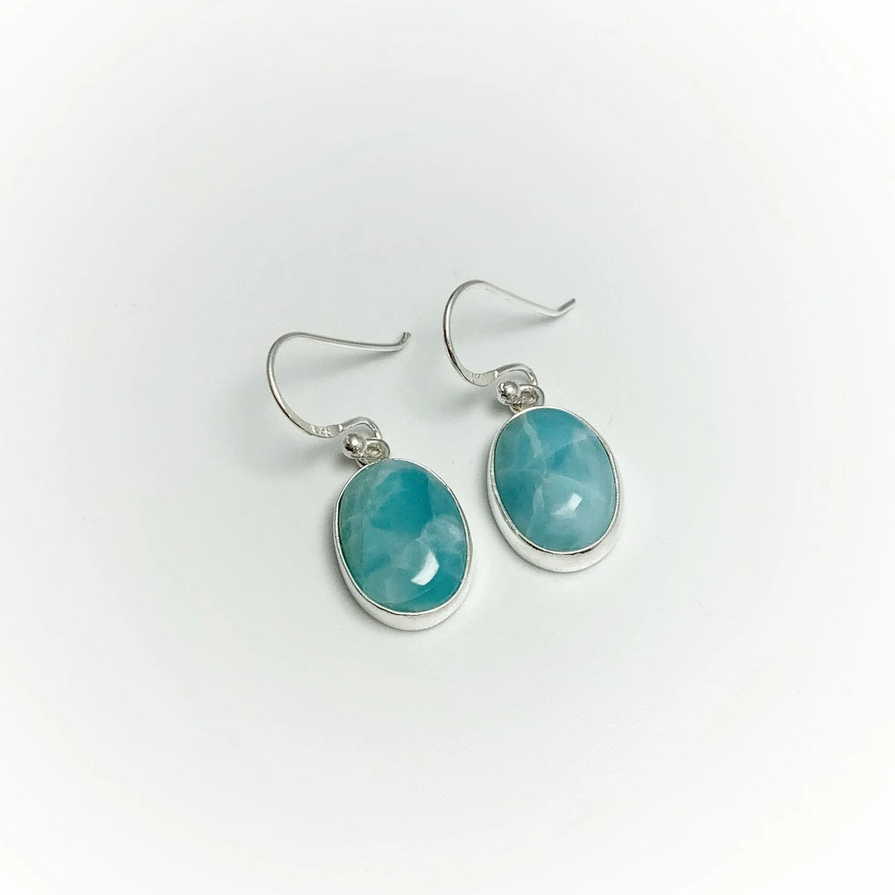 Larimar Dangle Earrings - Rocks and Gems Canada