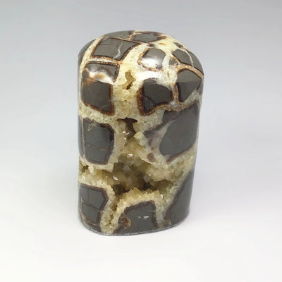 Septarian Stand Up