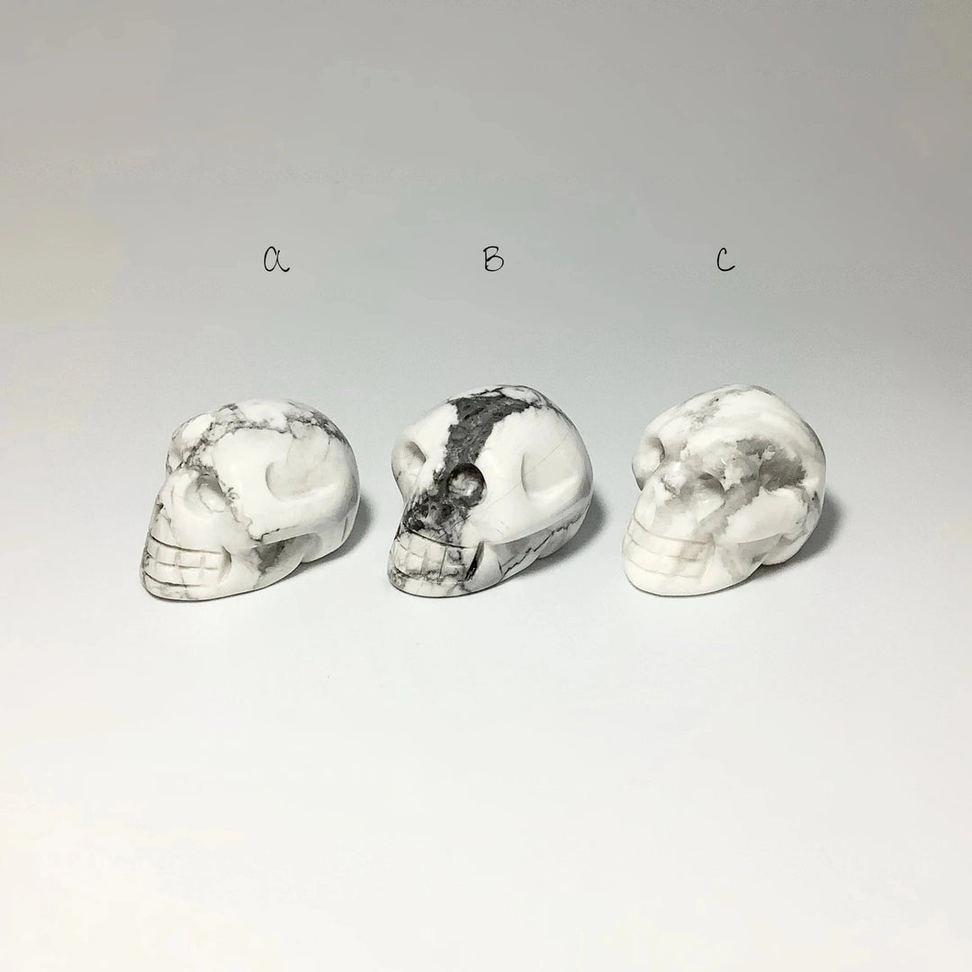 Carved Howlite Skull - Rocks and Gems Canada