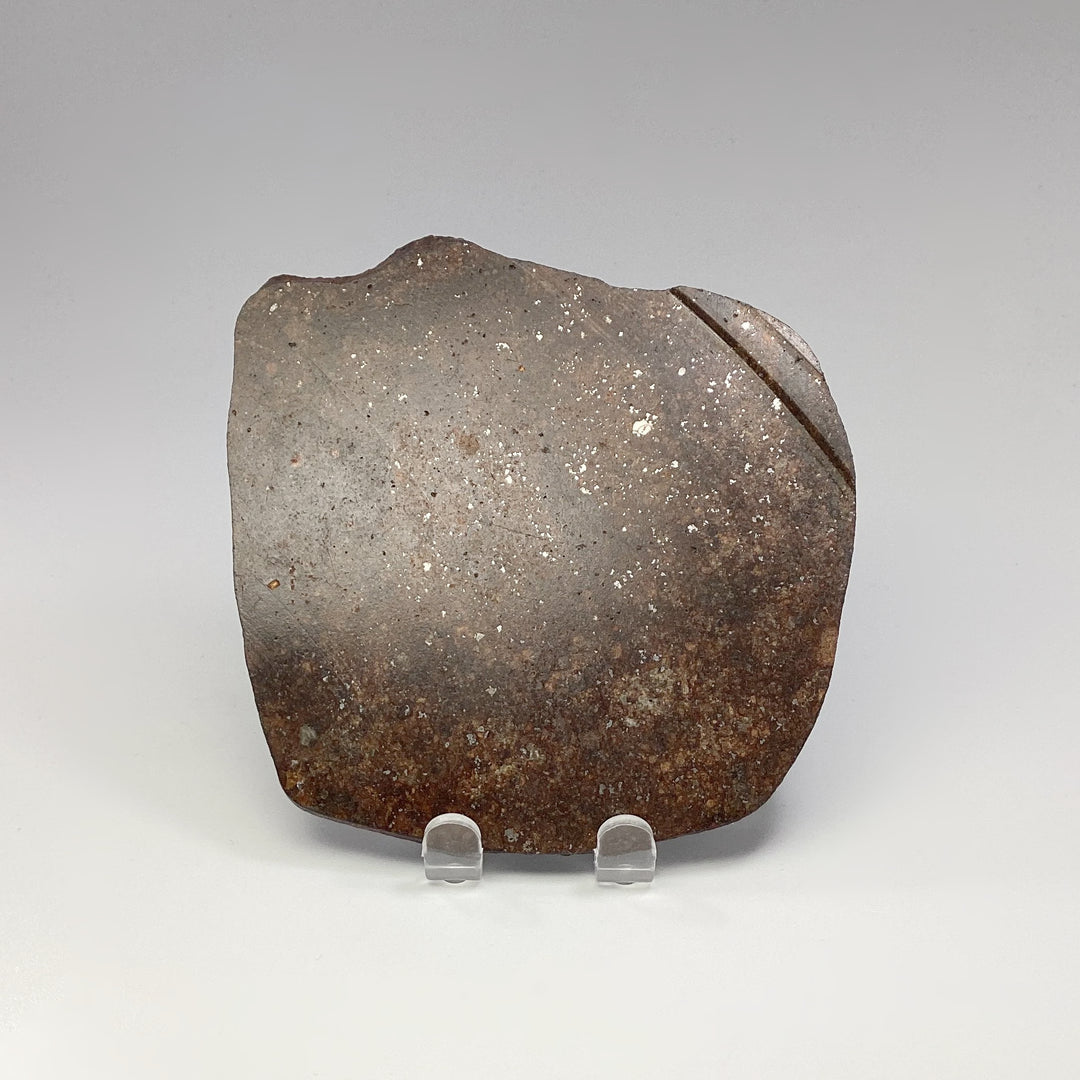 NWA Chondrite Meteorite Slab - Rocks and Gems Canada