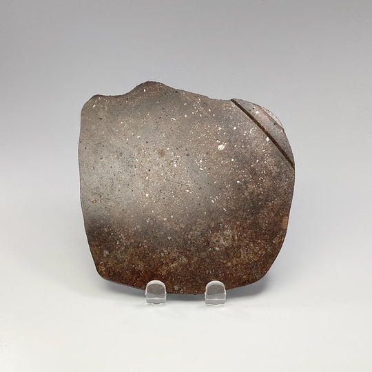 NWA Chondrite Meteorite Slab - Rocks and Gems Canada