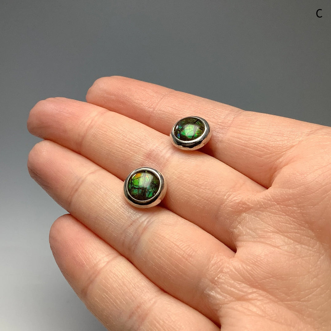 Alberta Ammolite Stud Earrings - Rocks and Gems Canada