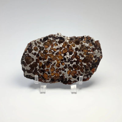 Sericho Large Meteorite Slice