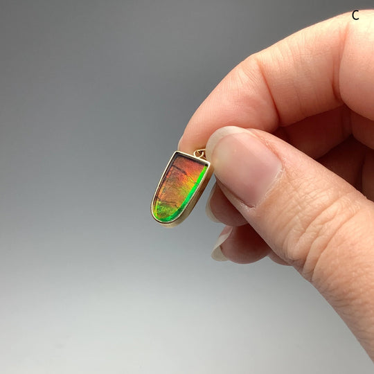 Alberta Ammolite 14K Gold Pendant - Rocks and Gems Canada