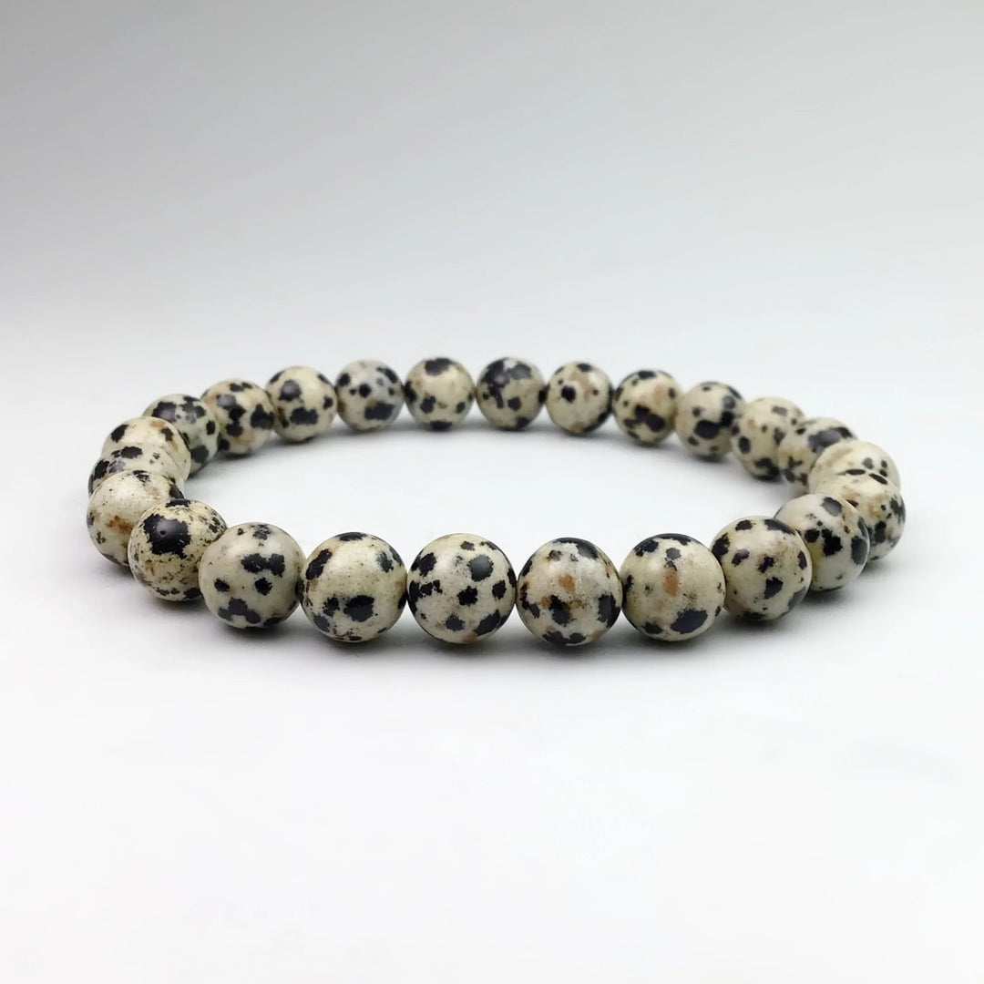 Dalmatian Jasper Beaded Bracelet - Rocks and Gems Canada