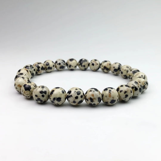 Dalmatian Jasper Beaded Bracelet - Rocks and Gems Canada