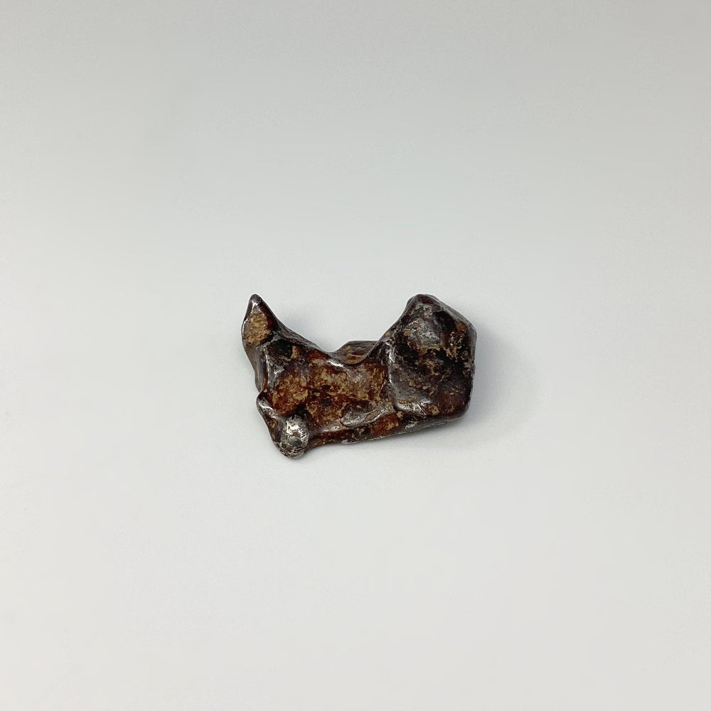 Sericho Meteorite - Rocks and Gems Canada