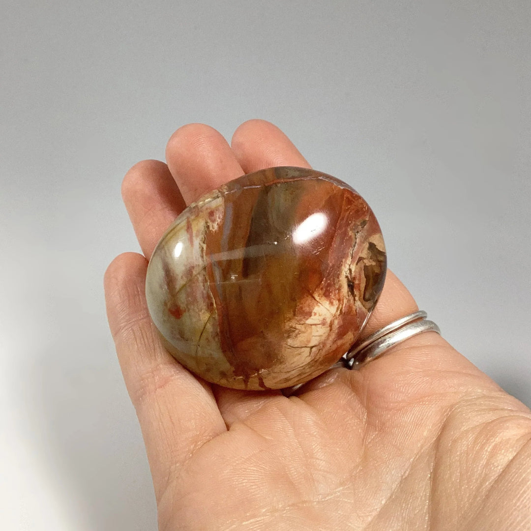 Petrified Wood Tumble - Rocks and Gems Canada