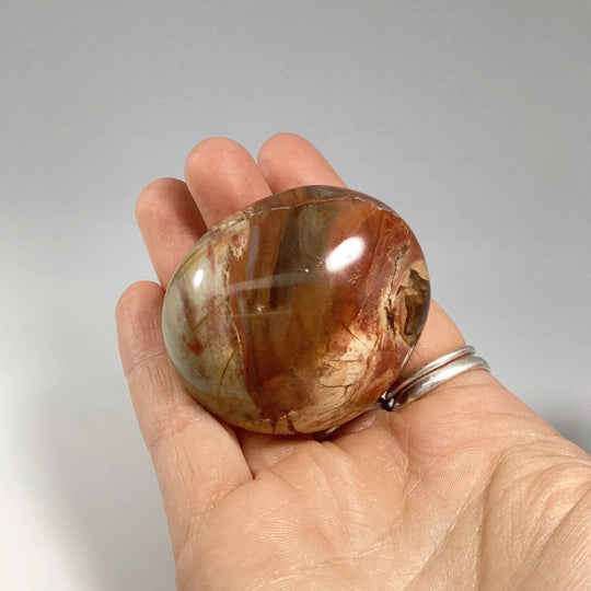 Petrified Wood Tumble - Rocks and Gems Canada