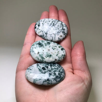 Worry Stone - Tree Agate