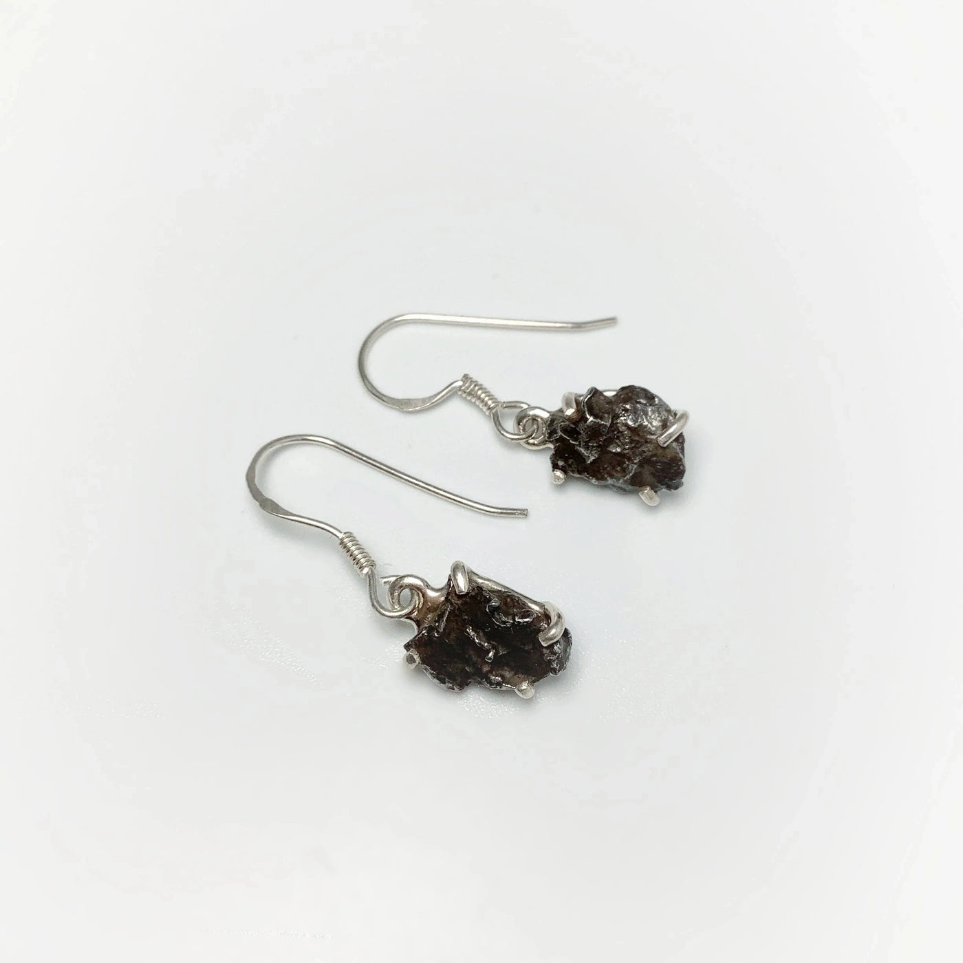 Campo Del Cielo Meteorite Dangle Earrings