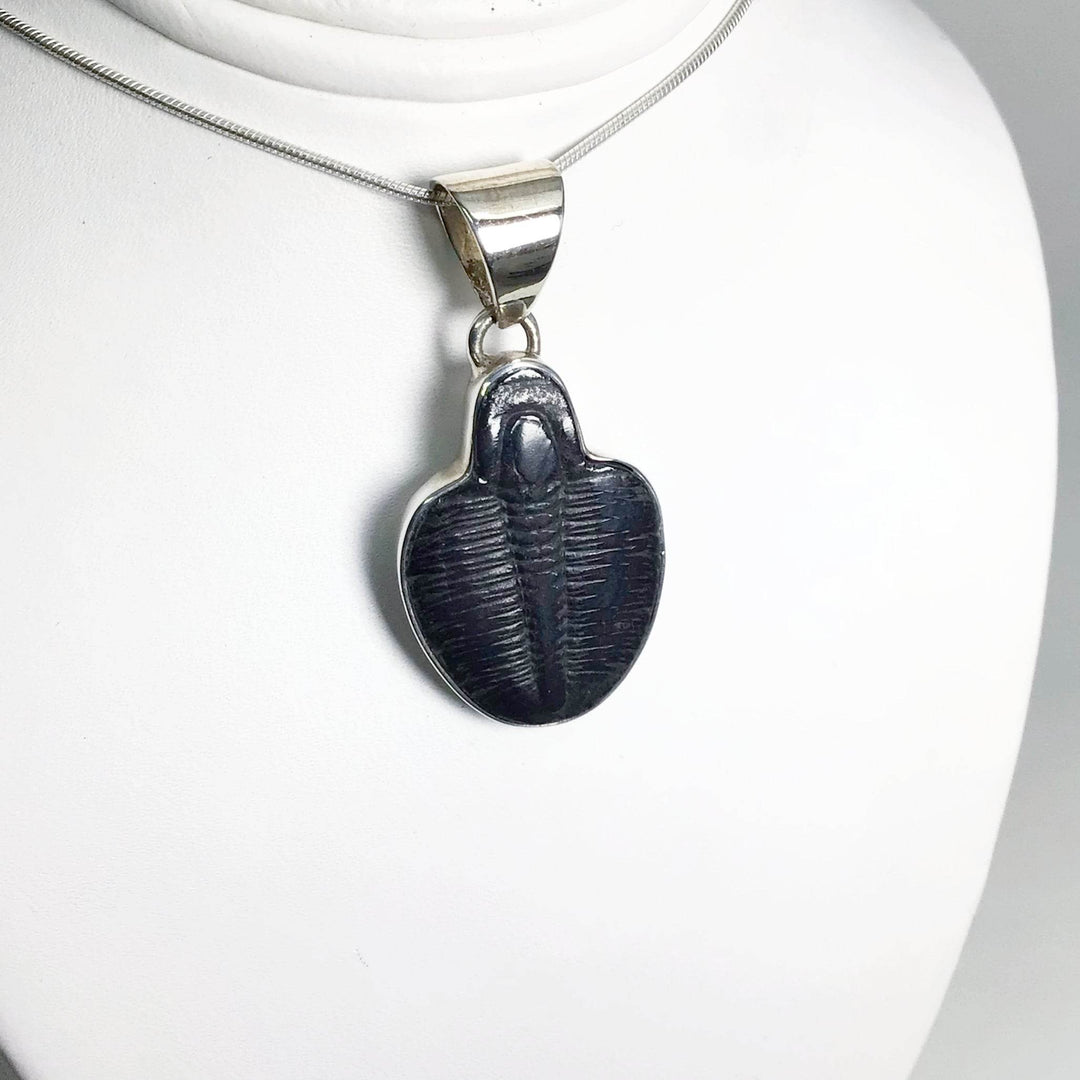 Trilobite Elrathia Kingii Fossil Pendant - Rocks and Gems Canada