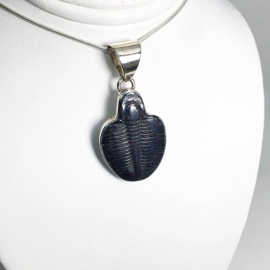 Trilobite Elrathia Kingii Fossil Pendant - Rocks and Gems Canada