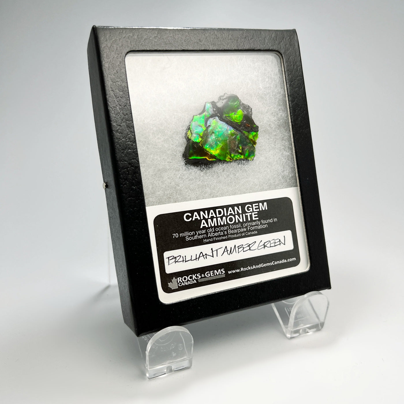 Ammolite Gem Display Box