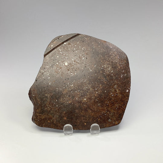 NWA Chondrite Meteorite Slab - Rocks and Gems Canada
