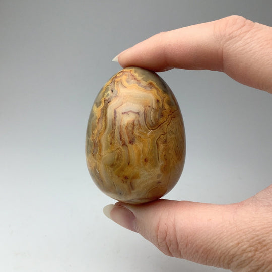 Crazy Lace Agate Egg - Rocks and Gems Canada