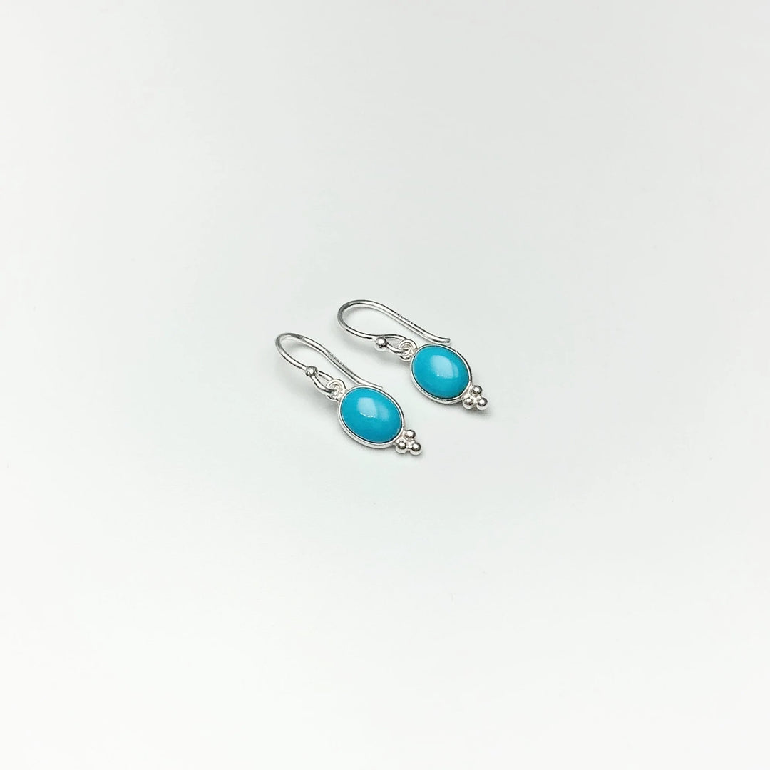 Turquoise Dangle Earrings - Rocks and Gems Canada