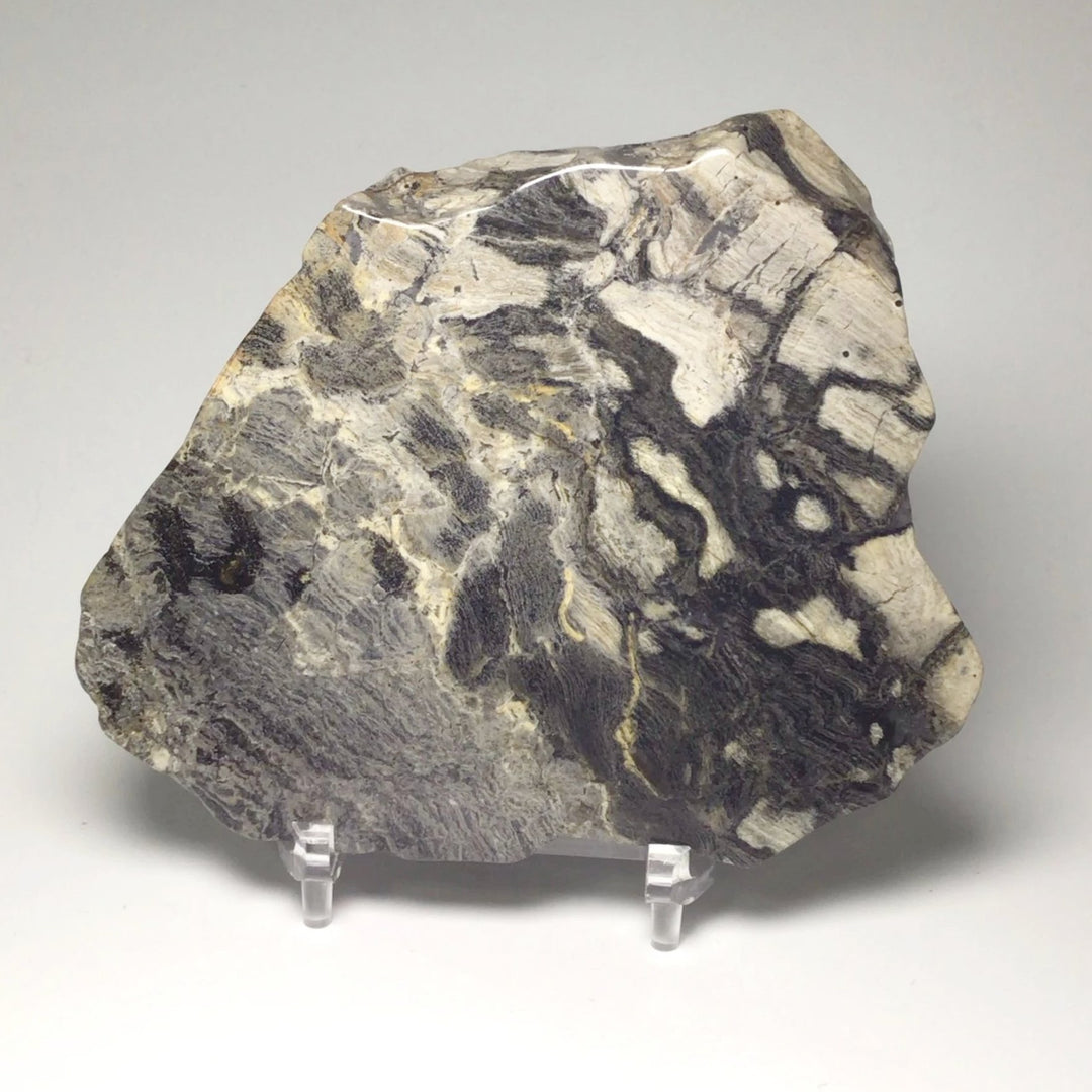 Silver Leaf Jasper Slice - Rocks and Gems Canada