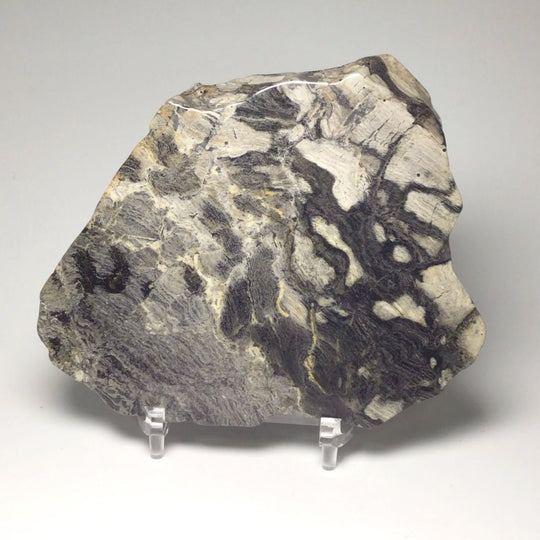 Silver Leaf Jasper Slice - Rocks and Gems Canada
