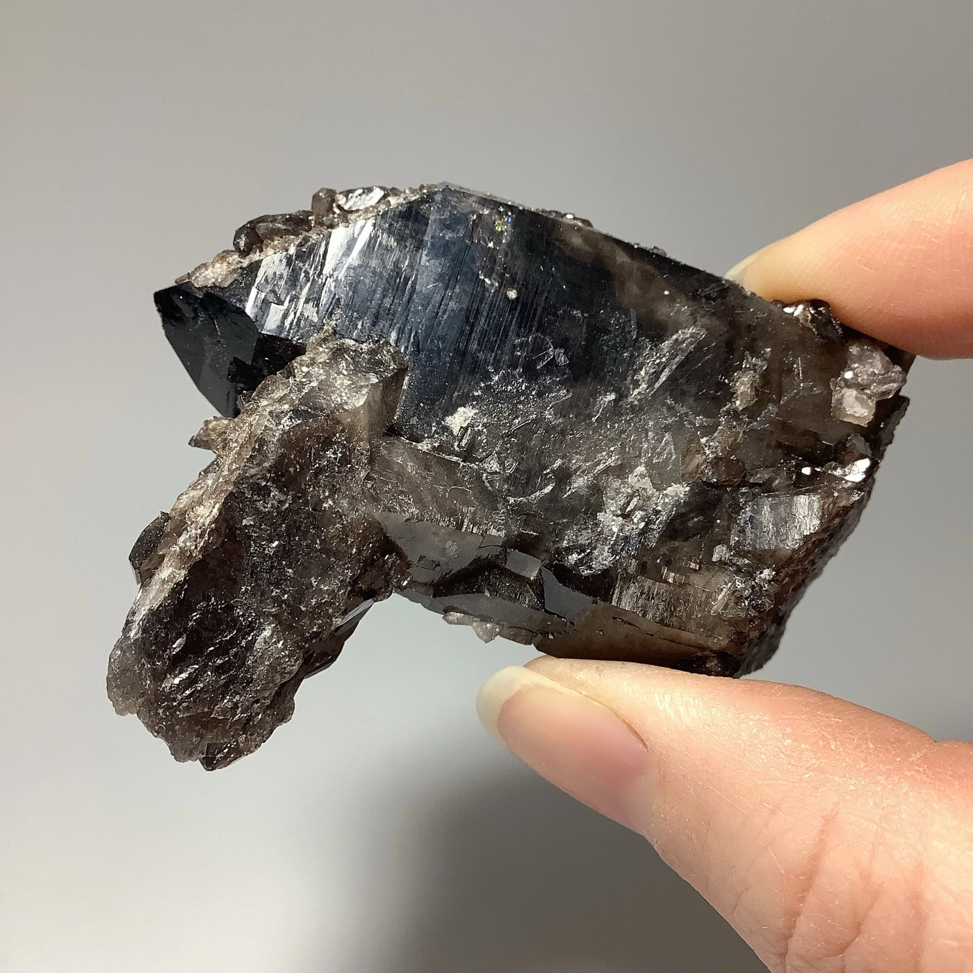 Smoky Quartz Cluster