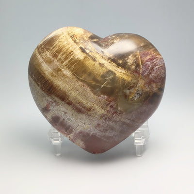 Petrified Wood Heart
