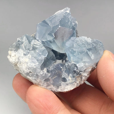 Celestite Geode