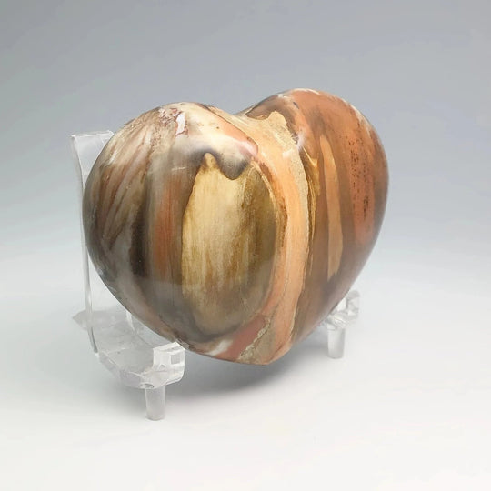Petrified Wood Heart