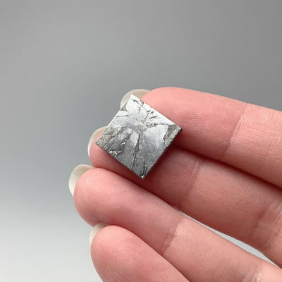 Seymchan Meteorite Small Slice